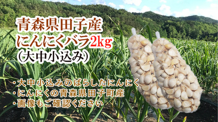 青森県田子産にんにくバラ（訳あり）2kg