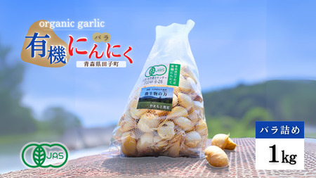 やまもと農産のオーガニックにんにく(バラ)1kg