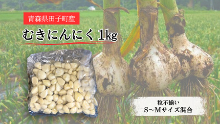 青森県田子町産 むきにんにく1kg(S〜Mサイズ混合)業務用
