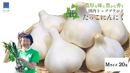 日本一ブランドたっこにんにくMサイズ20玉（青森県田子町産にんにく）