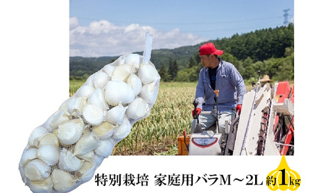丸美農園 田子産特別栽培にんにく 家庭用バラ(M〜2L)約1kg