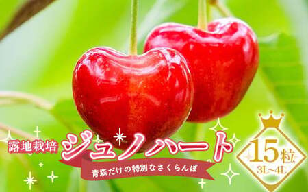 ≪数量限定≫ 露地栽培 青森だけの特別なさくらんぼ 「ジュノハート」 15粒(3L〜4L)[留長果樹園] F21U-401