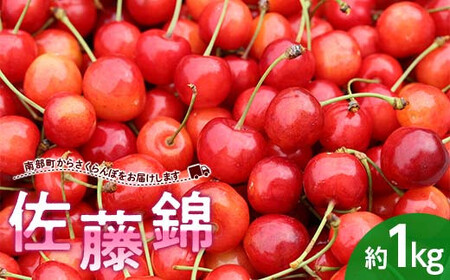 [数量限定] 大きめサイズ厳選! さくらんぼ 佐藤錦 約1kg (バラ詰め) [西塚農園] F21U-317