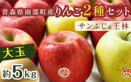 特選 (大玉) 青森産 完熟 りんご 約5kg サンふじ 王林 2種セット 【誠果園】 F21U-220