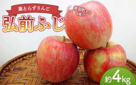 [家庭用] 葉とらずりんご 弘前ふじ 約4kg [四戸農園] 減農薬 有機肥料 F21U-359