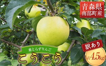 sƒpt tƂ炸  4.5kg yl˔_z _ L@엿 F21U-369