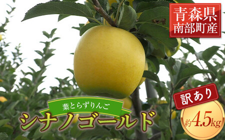[家庭用] 葉とらずりんご シナノゴールド 約4.5kg [四戸農園] 減農薬 有機肥料 F21U-370