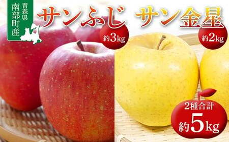 青森県 南部町産 りんご サンふじ&サン金星 約5kg [盛果園] 2種セット F21U-367