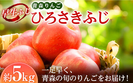 青森りんご 早生ふじの代表格 ひろさきふじ 約5kg [マルス果樹園] F21U-241