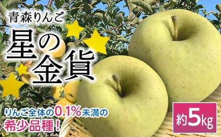 青森りんご 星の金貨 約5kg [マルス果樹園] F21U-079