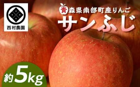 青森りんご サンふじ (大・中・小混合) 約5kg [西村農園] F21U-217