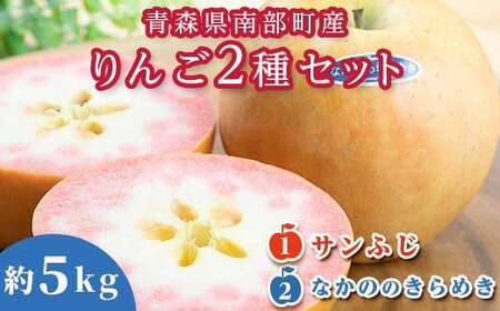 青森県 希少りんご サンふじ&なかののきらめき 約5kgセット [泉山果樹園] 2種セット F21U-276