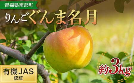 有機JAS認証 りんご ぐんま名月 約3kg [和楽堂りんご養生農苑] F21U-321