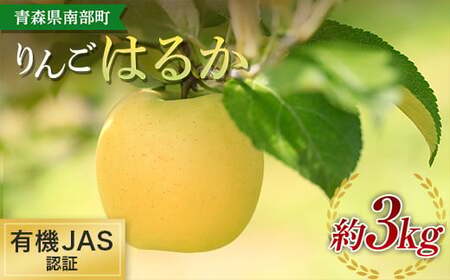 有機JAS認証 りんご はるか 約3kg [和楽堂りんご養生農苑] オーガニック 無農薬 F21U-324