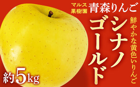 青森りんご シナノゴールド約5kg [マルス果樹園] F21U-086