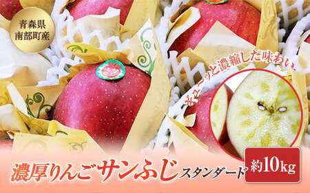 X암Y Z񂲃Tӂ 10kg yAO[fUCz X^_[h F21U-036