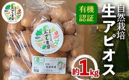 L@F R͔| AsIX 1kg yނ_zI[KjbN _ F21U-374