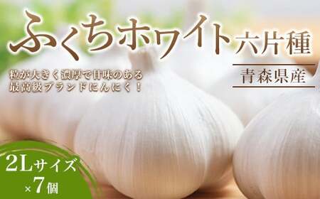 암cs  ɂɂuӂzCgZЎvi2LTCY×7j sJleʁt F21U-124