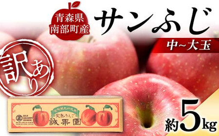 [訳あり] 青森産 完熟 りんご サンふじ (中〜大玉) 約5kg [誠果園] 青森りんご リンゴ 林檎 アップル あおもり 青森県 南部町 三戸 南部 澁川賞受賞 果物 くだもの フルーツ 家庭用 規格外 わけあり ワケアリ 訳アリ デザート 果実 食品 F21U-388