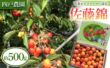 [農家直送] さくらんぼ 「佐藤錦」 バラ詰め 約500g [四戸農園] F21U-307