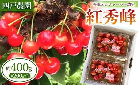 [農家直送] さくらんぼ 「紅秀峰」 バラ詰め 約200g×2パック [四戸農園] F21U-311