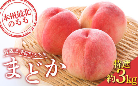 もぎたて発送 桃 まどか 特選 (大玉) 約3kg (7〜11個) [誠果園] もも モモ 桃桃桃 青森県 南部町 三戸 南部 果物 くだもの フルーツ デザート 果実 食品 F21U-456