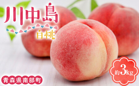 川中島白桃 約3kg(8〜12玉) [泉山果樹園] 青森県 南部町 桃 モモ もも 桃桃桃 果物 くだもの フルーツ デザート 果実 食品 F21U-467