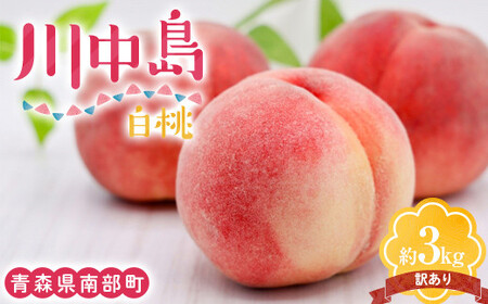 [訳あり] 川中島白桃 約3kg(8〜12玉) [泉山果樹園] 青森県 南部町 モモ もも 桃桃桃 果物 くだもの フルーツ 規格外 家庭用 わけあり ワケアリ 桃 デザート 果実 食品 F21U-468
