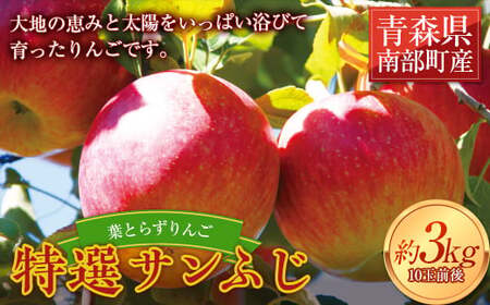 tƂ炸 ITӂ 3kg yl˔_z _ L@엿 F21U-501