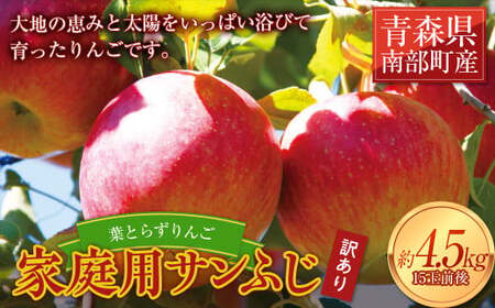 [家庭用] 葉とらずりんご サンふじ 約4.5kg [四戸農園] 減農薬 有機肥料 F21U-504