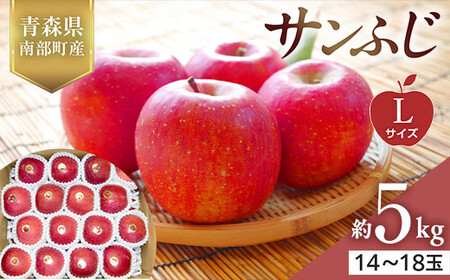 XY  Tӂ LTCY 5kg yX؂͂邱_z F21U-547