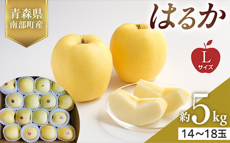 XY 󏭂 ͂邩 LTCY 5kg yX؂͂邱_z F21U-562