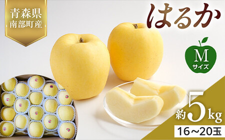 XY 󏭂 ͂邩 MTCY 5kg yX؂͂邱_z F21U-563