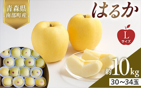 XY 󏭂 ͂邩 LTCY 10kg yX؂͂邱_z F21U-565