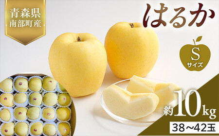 XY 󏭂 ͂邩 STCY 10kg yX؂͂邱_z F21U-567