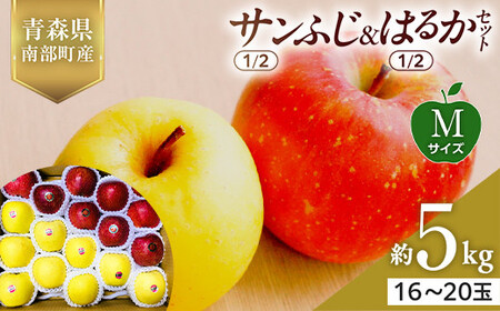 XY Tӂ(1/2)E͂邩(1/2)Zbg MTCY 5kg (e2.5kg) yX؂͂邱_z F21U-569
