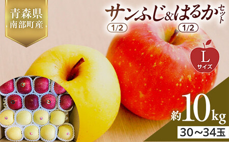 青森県産 サンふじ(1/2)・はるか(1/2)セット Lサイズ 10kg (各5kg) [佐々木あきおはるこ農園] F21U-571
