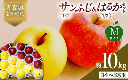 XY Tӂ(1/2)E͂邩(1/2)Zbg MTCY 10kg (e5kg) yX؂͂邱_z F21U-572