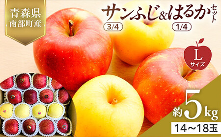 XY Tӂ(3/4)E͂邩(1/4)Zbg LTCY 5kg yX؂͂邱_z F21U-574