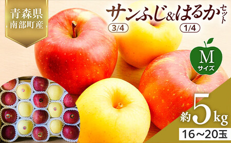 XY Tӂ(3/4)E͂邩(1/4)Zbg MTCY 5kg yX؂͂邱_z F21U-575