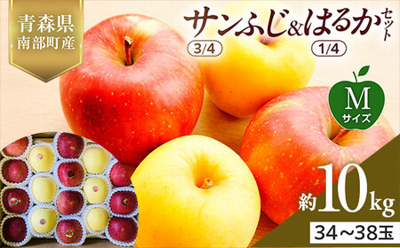 XY Tӂ(3/4)E͂邩(1/4)Zbg MTCY 10kg yX؂͂邱_z F21U-578