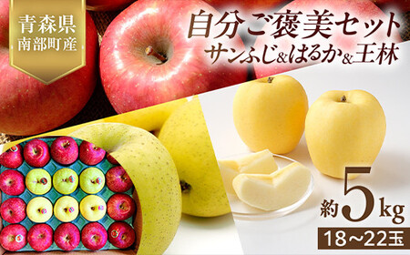 青森県産 りんご サンふじ・はるか・王林 (自分ご褒美セット) 5kg [佐々木あきおはるこ農園] F21U-580