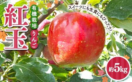 有機栽培 りんご 紅玉 約5kg [和楽堂りんご養生農苑] 青森りんご リンゴ 林檎 アップル あおもり 青森 青森県 南部町 三戸 南部 果物 くだもの フルーツ オーガニック デザート 果実 食品 F21U-594