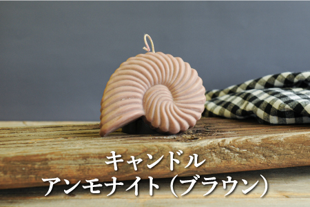 キャンドルアンモナイト(ブラウン)[38010]