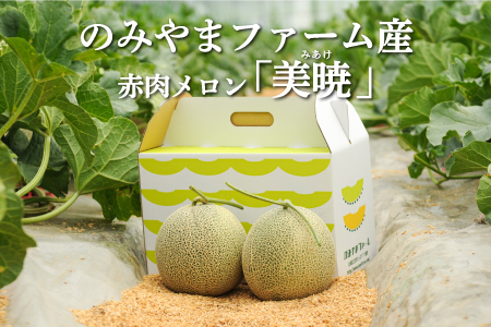 《2026年分受付中》≪数量限定！≫のみやまファームの赤肉メロン「美暁」（各1.6kg以上を2玉）【01167】