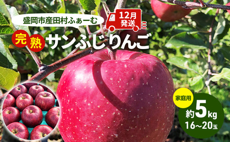  s\ ƒp n Tӂ  5kg (16`20) cӂ[ t[c ʕ ~ { {̃t[c KiO  s s \ sY ь S  茧  s 12