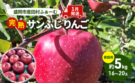 先行予約[1月発送]盛岡市産 田村ふぁーむ 家庭用 完熟 サンふじ りんご 約5kg(16〜20玉) 果物類 フルーツ デザート 果汁 甘い 酸味 バランス