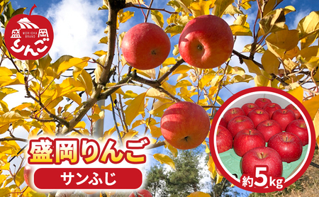 [先行予約] 朝島観光りんご園 りんご「サンふじ」約5kg
