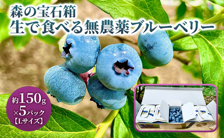 森の宝石箱 生で食べる無農薬(栽培期間中)ブルーベリー 約150g×5パック Lサイズ