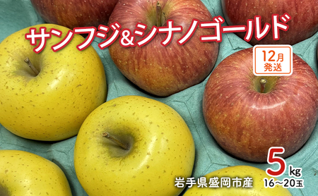 [12月発送]盛岡市産 田村ふぁーむ 家庭用 完熟りんごサンふじ&シナノゴールド5kg(14〜20玉)